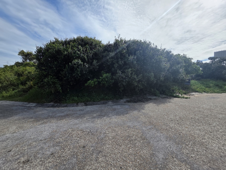 0 Bedroom Property for Sale in Paradise Beach Eastern Cape